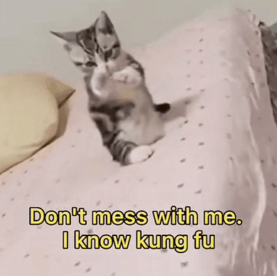 Don't Mess With Me I Know Kung Fu GIF