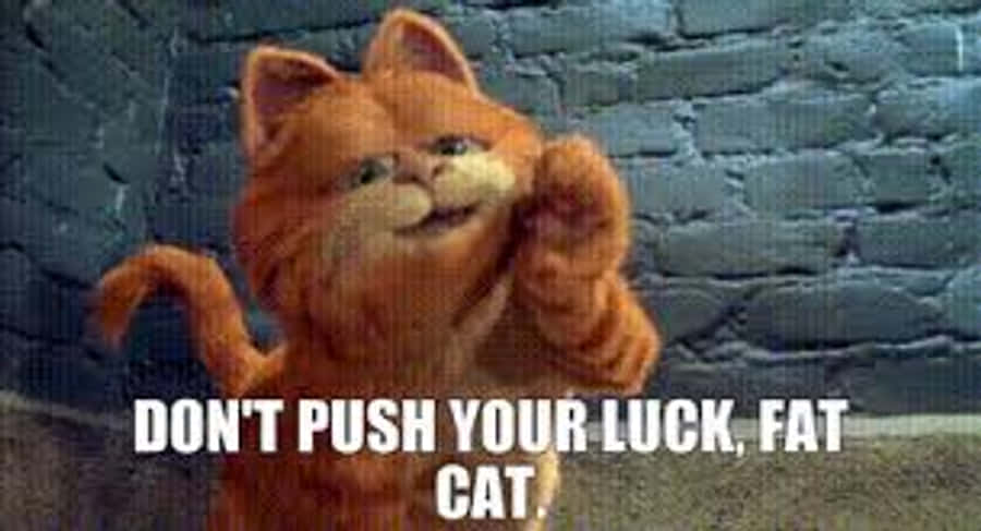 Don't Push Your Luck, Fat Cat GIF