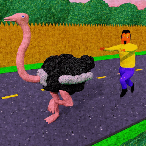 Don't Run Fast Ostrich I Want Some Ride GIF