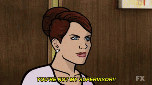 Don't Teach Me You're Not My Supervisor GIF