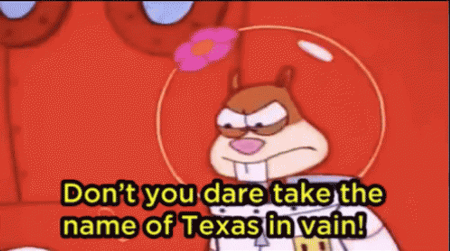 Don't You Dare Take The Name Of Texas GIF