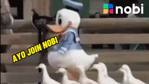 Donald Duck and Ducks Ayo Join Nobi