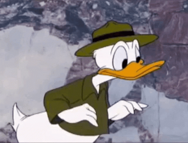 Donald Duck Angry What Do You Want GIF