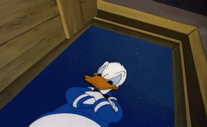 Donald Duck Disney Angry No Way GIF