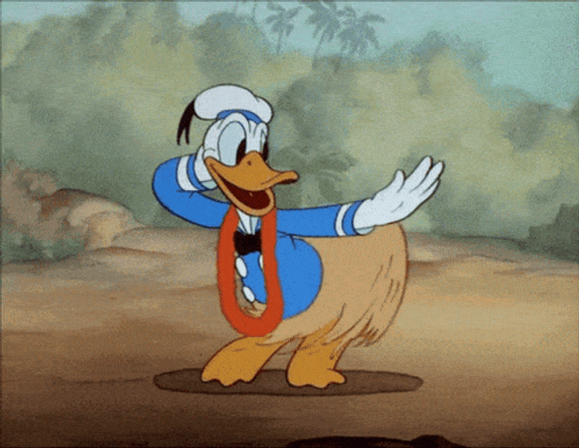 Donald Duck Disney Hawaiian Dance GIF