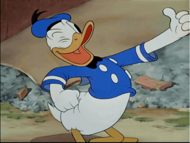 Donald Duck Disney It's On Me Wink GIF