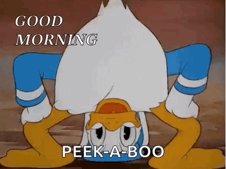 Donald Duck Handstand in Dirt Good Morning Peek-a-boo