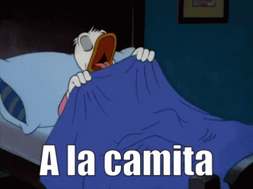 Donald Duck Holding Blue Blanket a la camita