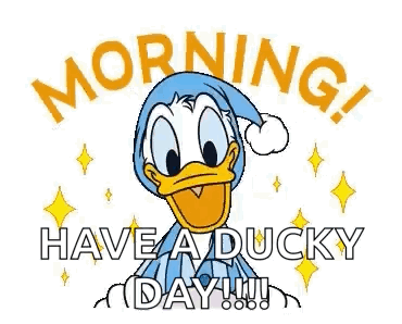 Donald Duck Is Wearing A Sleep Cap And Says `` Have A Ducky Day ! '' GIF
