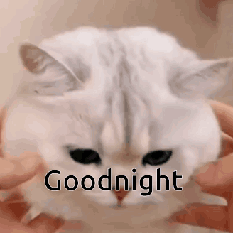 Donald Duck Lying On Bed With Pillow GIF