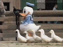Donald Duck Marching Meme GIF