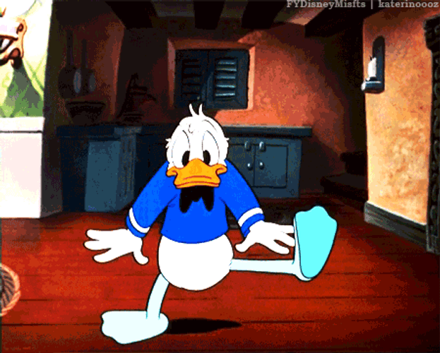 Donald Duck Shocked Hit Head GIF