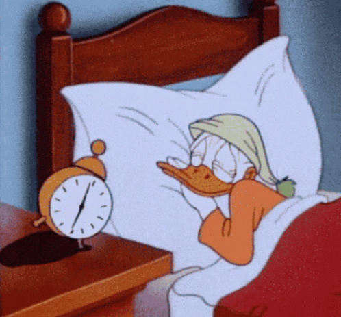 Donald Duck Sleeping in Bed
