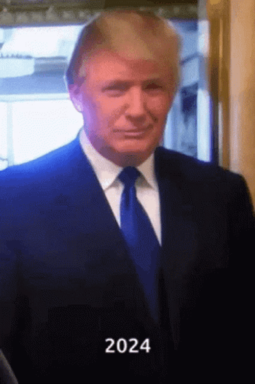 Donald Trump 2024 Thumb Light GIF