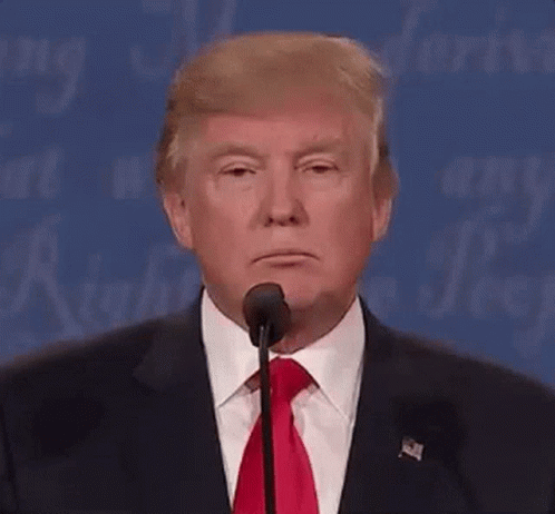 Donald Trump Fake Smile GIF