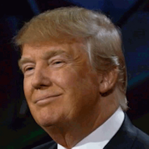 Donald Trump Cute Wink GIF