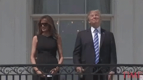 Donald Trump And Melania Trump Are Standing On A Balcony . GIF