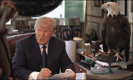 Donald Trump At Desk With Stuffed Bald Eagle GIF