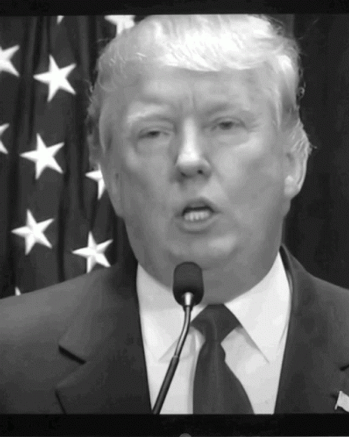 Donald Trump Big Lie GIF