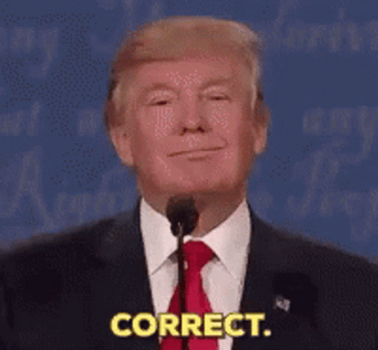 Donald Trump Correct Indeed GIF