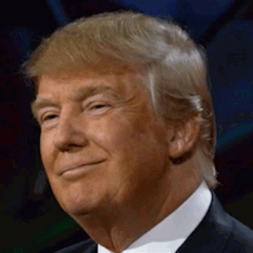 Donald Trump  Cute Wink GIF