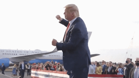 Donald Trump Dancing Outdoor GIF