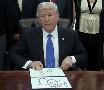 Donald Trump Drawing Cat Meme GIF