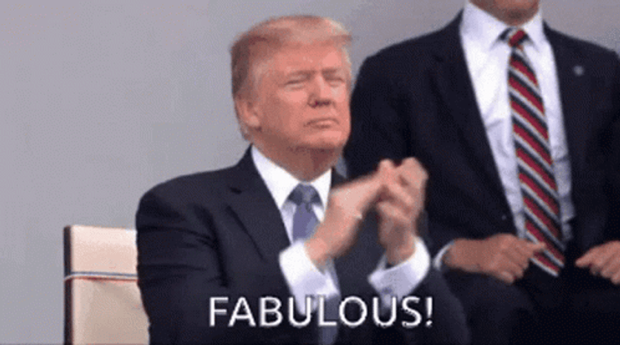 Donald Trump Fabulous GIF