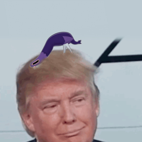 Donald Trump Funny Faces Expression GIF