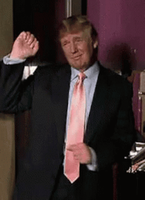 Donald Trump Funny Random Dance GIF