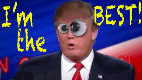 Donald Trump Googly Eyes GIF