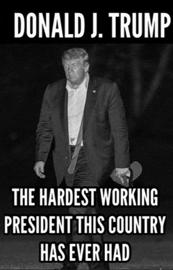 Donald Trump Hardest Working President Trump Loves America Meme GIF