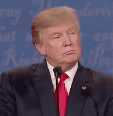 Donald Trump Head Shake GIF