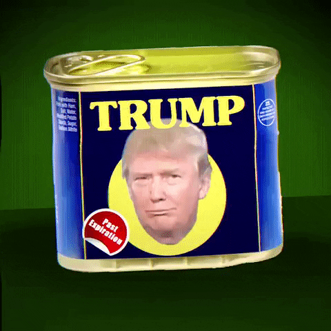 Donald Trump In Spam Can Label GIF