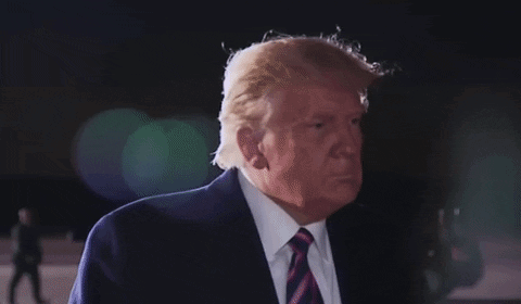 Donald Trump In Suit And Tie Covering Ear GIF