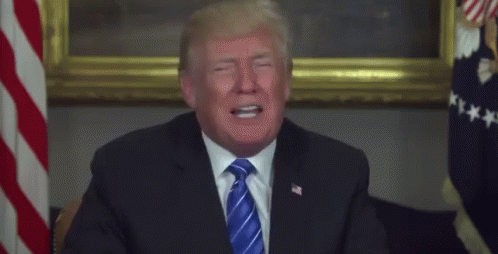 Donald Trump in Suit and Tie in Front of American Flag
