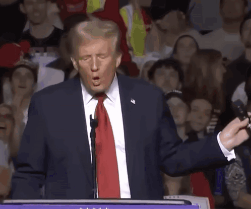 Donald Trump Is Giving A Speech In Front Of A Crowd Of People GIF