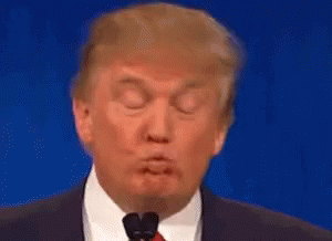Donald Trump Is Making A Funny Face While Giving A Speech At A Podium . GIF