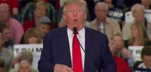 Donald Trump Is Making A Funny Face While Speaking Into A Microphone In Front Of A Crowd Of People . GIF