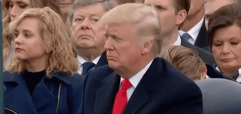 Donald Trump Is Sitting In A Crowd Of People Watching A Ceremony . GIF
