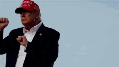 Donald Trump Is Wearing A Red Hat That Says America Great Again GIF