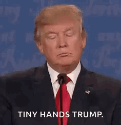 Donald Trump Is Wearing A Suit And Tie And Holding A Microphone . GIF