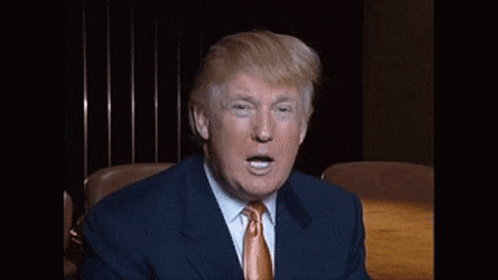 Donald Trump Is Wearing A Suit And Tie And Is Sitting At A Table GIF