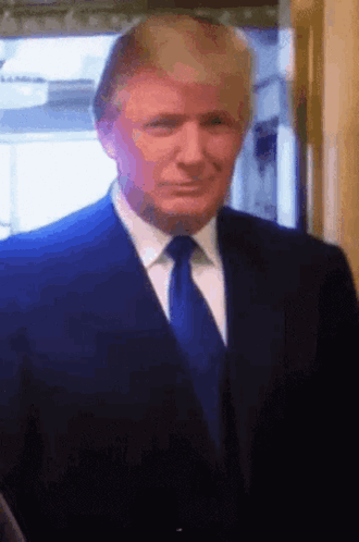 Donald Trump Is Wearing A Suit And Tie And Smiling GIF