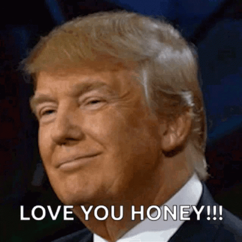 Donald Trump Love You Honey Wink GIF