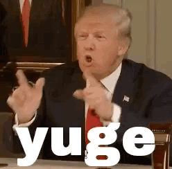 Donald Trump Making Funny Face and Pointing