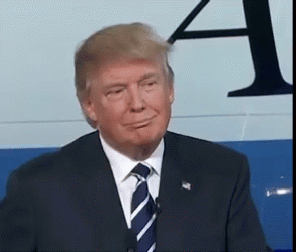 Donald Trump GIF