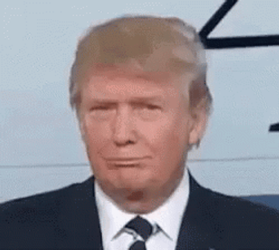 Donald Trump Oh Excuses I Hear GIF