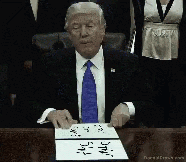 Donald Trump Other Shit GIF