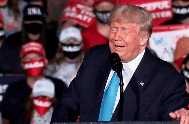 Donald Trump President Gif GIF